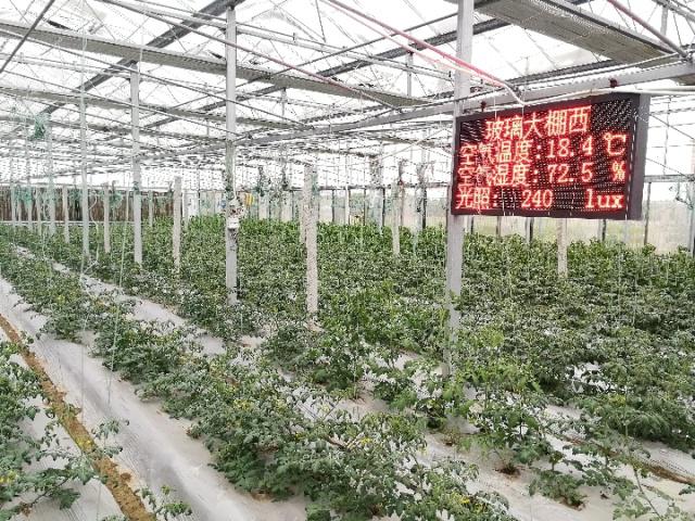 农业物联网发展现状_农业 物联网 发展_农业物联网发展历程